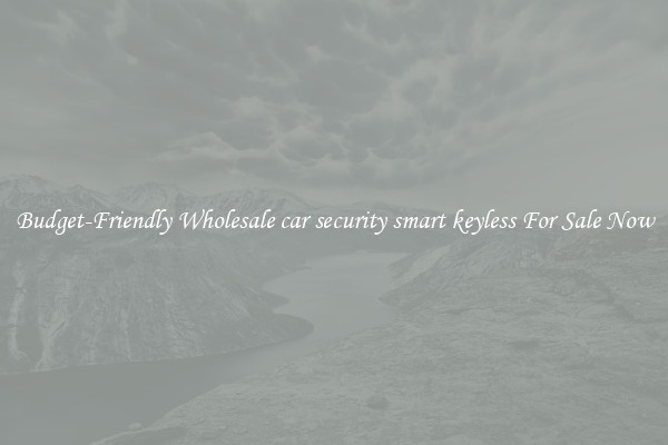 Budget-Friendly Wholesale car security smart keyless For Sale Now