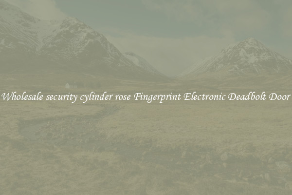 Wholesale security cylinder rose Fingerprint Electronic Deadbolt Door 