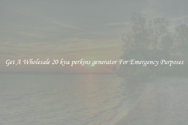 Get A Wholesale 20 kva perkins generator For Emergency Purposes