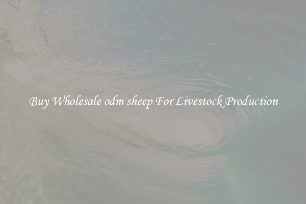 Buy Wholesale odm sheep For Livestock Production