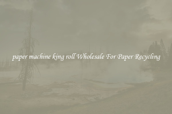 paper machine king roll Wholesale For Paper Recycling