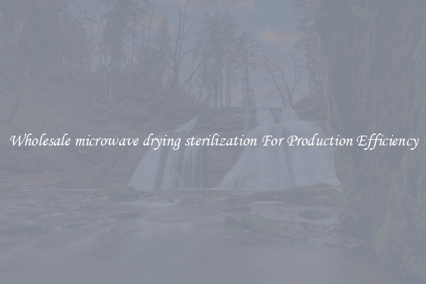 Wholesale microwave drying sterilization For Production Efficiency