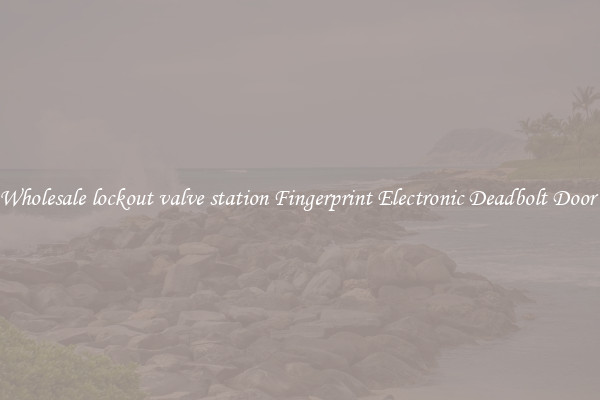 Wholesale lockout valve station Fingerprint Electronic Deadbolt Door 