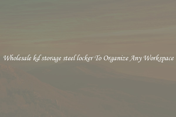 Wholesale kd storage steel locker To Organize Any Workspace