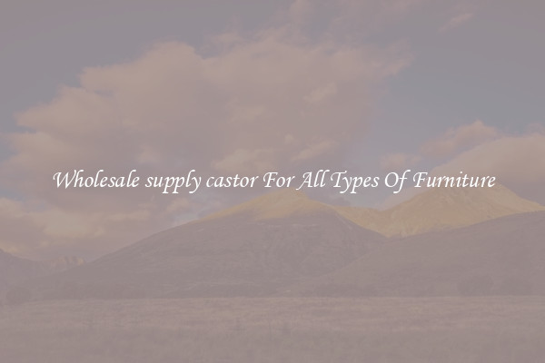 Wholesale supply castor For All Types Of Furniture
