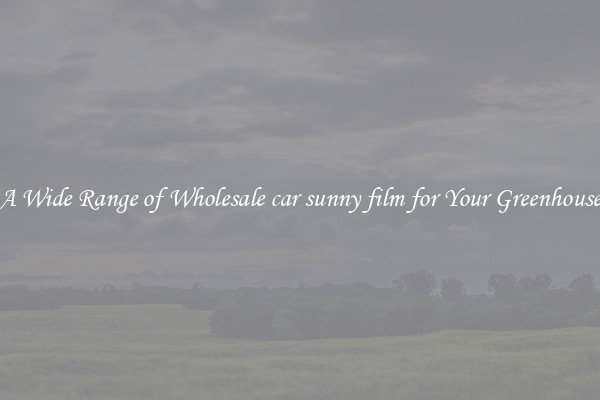 A Wide Range of Wholesale car sunny film for Your Greenhouse