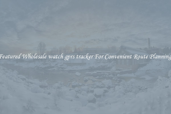 Featured Wholesale watch gprs tracker For Convenient Route Planning 