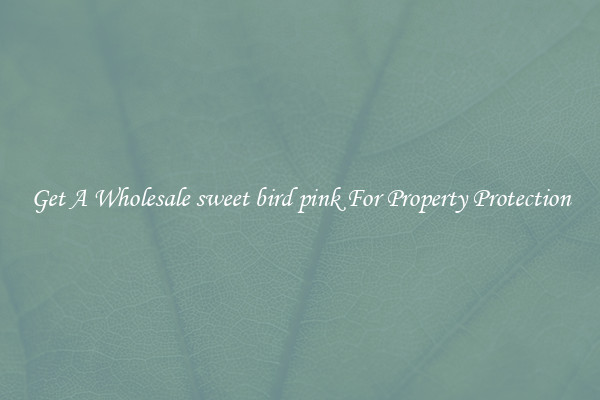Get A Wholesale sweet bird pink For Property Protection