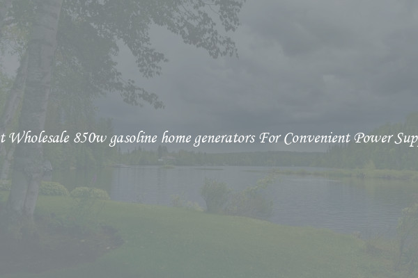 Get Wholesale 850w gasoline home generators For Convenient Power Supply