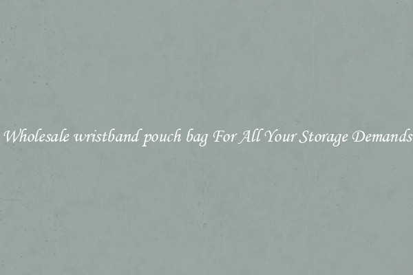 Wholesale wristband pouch bag For All Your Storage Demands