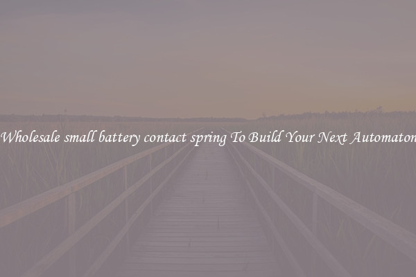 Wholesale small battery contact spring To Build Your Next Automaton