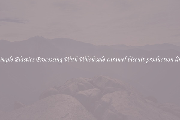 Simple Plastics Processing With Wholesale caramel biscuit production line