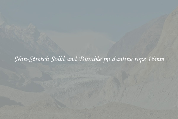 Non-Stretch Solid and Durable pp danline rope 16mm