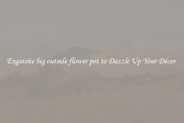 Exquisite big outside flower pot to Dazzle Up Your Décor 