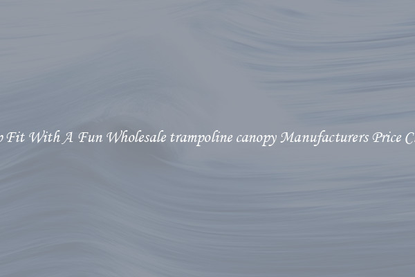 Keep Fit With A Fun Wholesale trampoline canopy Manufacturers Price Cheap 