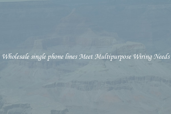 Wholesale single phone lines Meet Multipurpose Wiring Needs