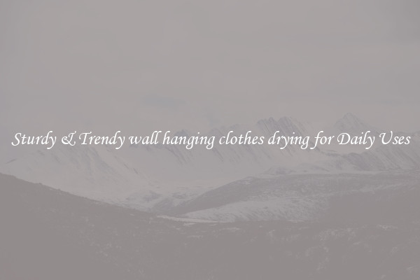 Sturdy & Trendy wall hanging clothes drying for Daily Uses