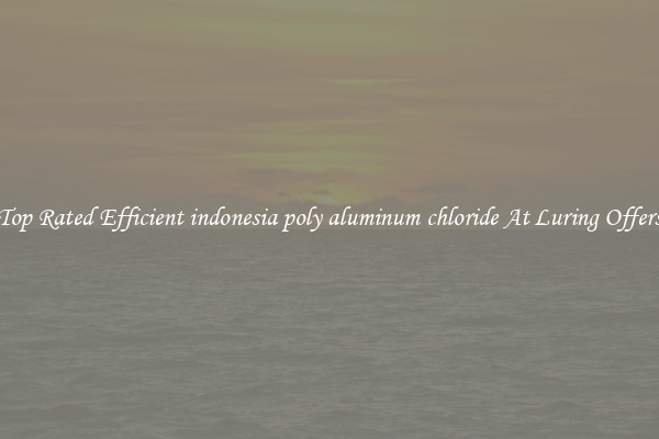 Top Rated Efficient indonesia poly aluminum chloride At Luring Offers