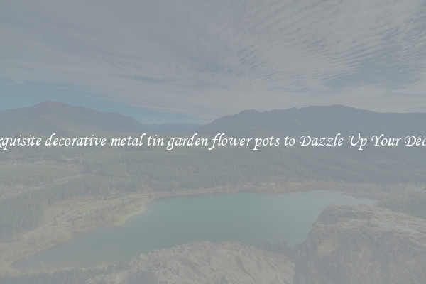 Exquisite decorative metal tin garden flower pots to Dazzle Up Your Décor 