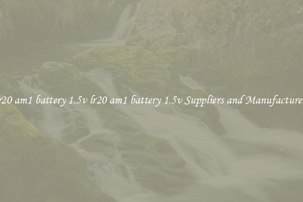 lr20 am1 battery 1.5v lr20 am1 battery 1.5v Suppliers and Manufacturers