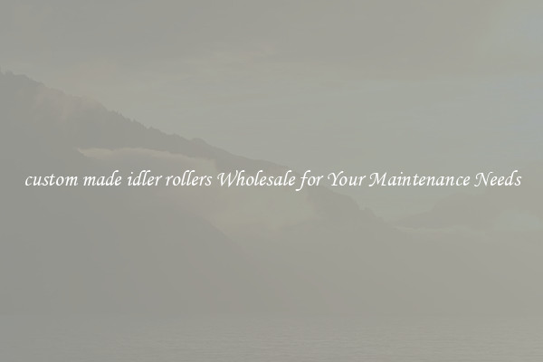 custom made idler rollers Wholesale for Your Maintenance Needs
