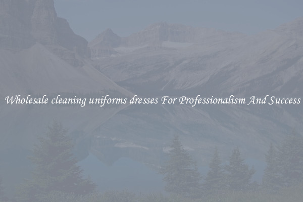 Wholesale cleaning uniforms dresses For Professionalism And Success