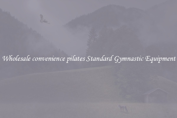 Wholesale convenience pilates Standard Gymnastic Equipment