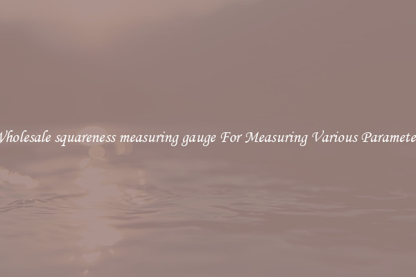 Wholesale squareness measuring gauge For Measuring Various Parameters