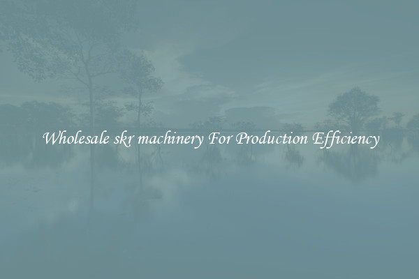 Wholesale skr machinery For Production Efficiency