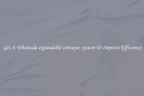 Get A Wholesale expandable conveyor system To Improve Efficiency