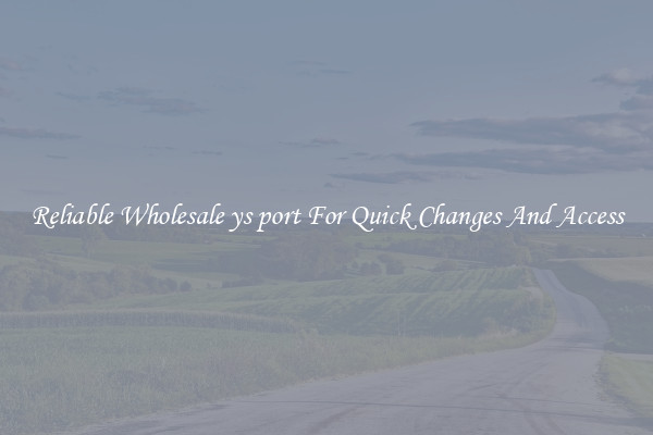 Reliable Wholesale ys port For Quick Changes And Access