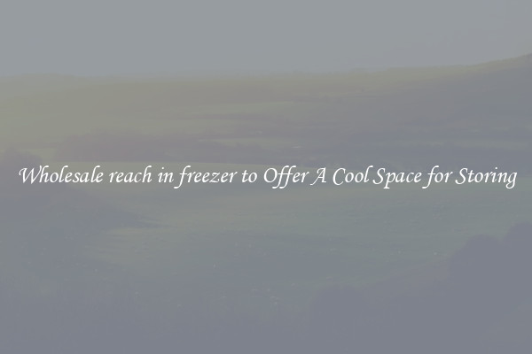 Wholesale reach in freezer to Offer A Cool Space for Storing