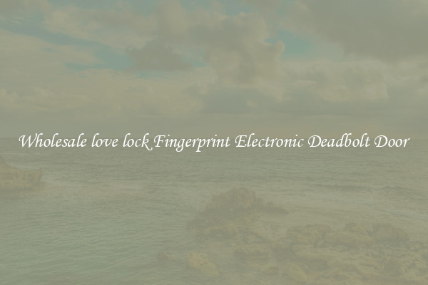 Wholesale love lock Fingerprint Electronic Deadbolt Door 