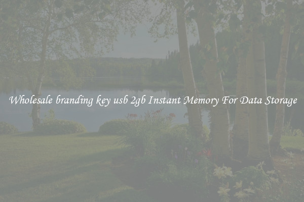 Wholesale branding key usb 2gb Instant Memory For Data Storage